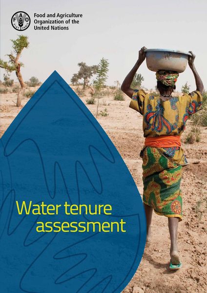 Produktbild: Water Tenure Assessment