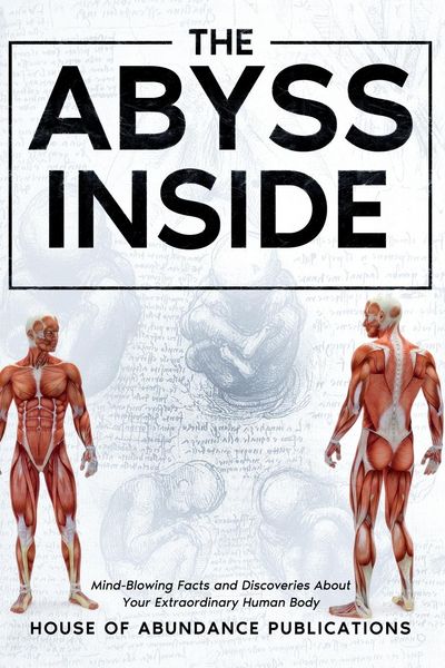 Produktbild: The Abyss Inside