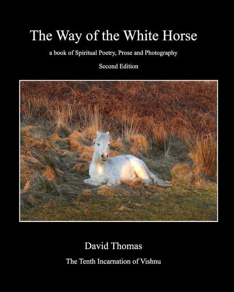 Produktbild: Way of the White Horse
