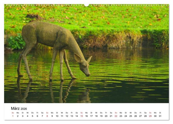 Produktbild: Wiesbaden Kunst in der &Ouml;ffentlichkeit (Wandkalender 2026 DIN A2 quer), CALVENDO Monatskalender
