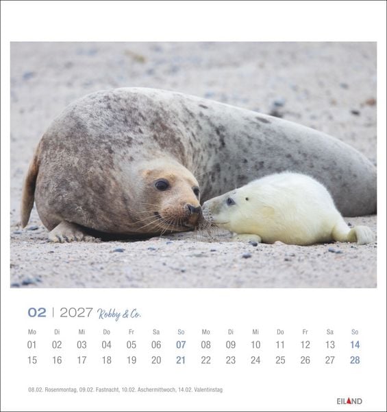 Produktbild: Robby & Co. Postkartenkalender 2027