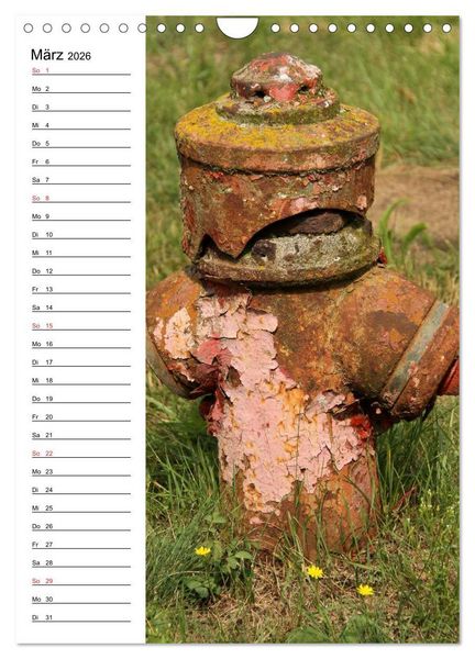 Produktbild: Nostalgie Hydranten (Wandkalender 2026 DIN A4 hoch), CALVENDO Monatskalender