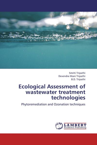 Produktbild: Ecological Assessment of wastewater treatment technologies