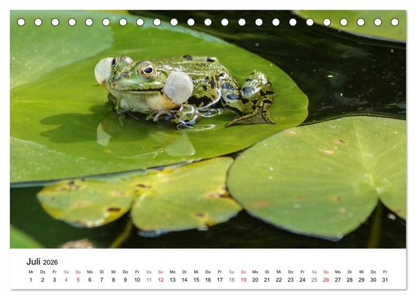 Produktbild: Paradies Naturgarten (Tischkalender 2026 DIN A5 quer), CALVENDO Monatskalender