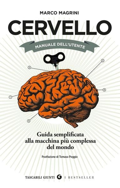 Produktbild: Cervello. Manuale dell'utente. Guida semplificata alla macchina pi&ugrave; complessa del mondo