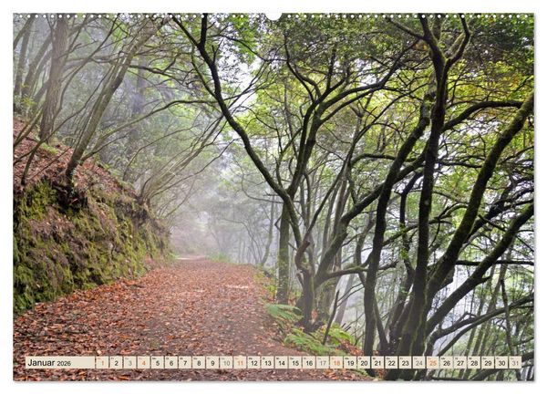 Produktbild: Magic Moments - LA PALMA (hochwertiger Premium Wandkalender 2026 DIN A2 quer), Kunstdruck in Hochglanz