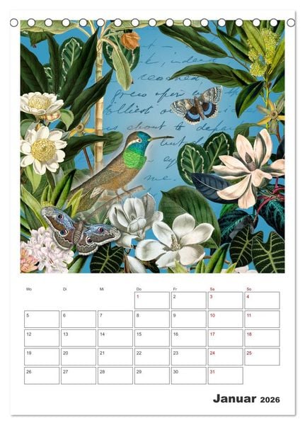 Produktbild: Das Paradies der Kolibris (Tischkalender 2026 DIN A5 hoch), CALVENDO Monatskalender
