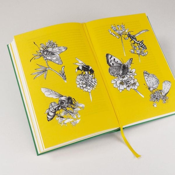 Produktbild: Wildlife Gardening