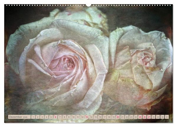Produktbild: Rosenduft Shabby Chic Style (Wandkalender 2026 DIN A2 quer), CALVENDO Monatskalender