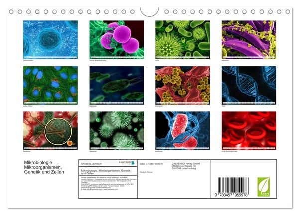 Produktbild: Mikrobiologie. Mikroorganismen, Genetik und Zellen (Wandkalender 2026 DIN A4 quer), CALVENDO Monatskalender