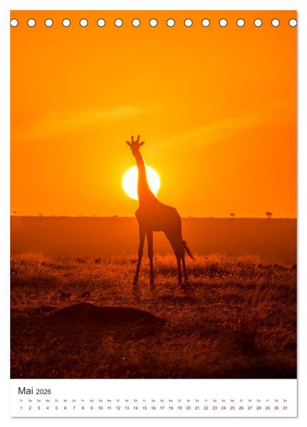 Produktbild: Giraffe - Bemerkenswerte Tiere. (Tischkalender 2026 DIN A5 hoch), CALVENDO Monatskalender