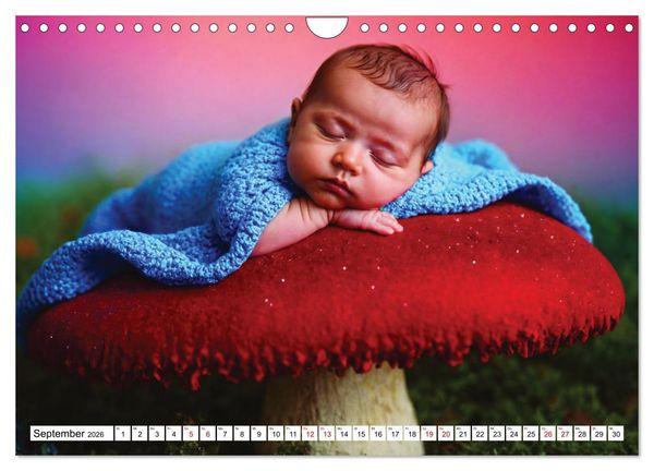 Produktbild: Zauberhaft schlafende Babies - Ruhig und friedlich (Wandkalender 2026 DIN A4 quer), CALVENDO Monatskalender