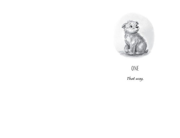 Produktbild: Wombat Waiting