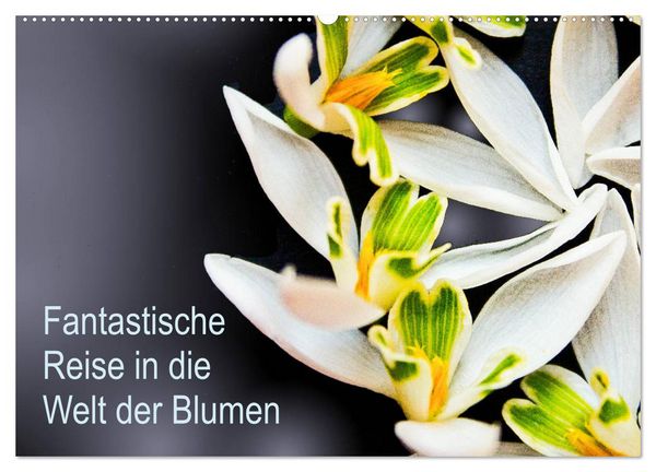 Produktbild: Fantastische Reise in die Welt der Blumen (Wandkalender 2026 DIN A2 quer), CALVENDO Monatskalender