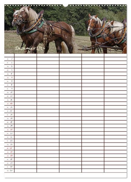 Produktbild: Der Kaltblut-Familienplaner (Wandkalender 2026 DIN A2 hoch), CALVENDO Monatskalender