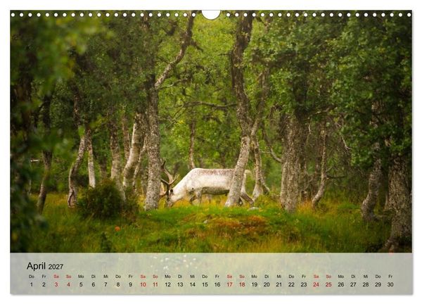 Produktbild: Magische Tiermomente (Wandkalender 2027 DIN A3 quer), CALVENDO Monatskalender