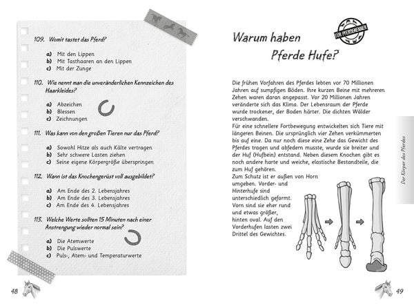 Produktbild: Mein Pferdequiz
