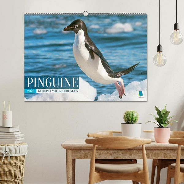 Produktbild: Pinguine: Gehupft wie gesprungen (Wandkalender 2026 DIN A2 quer), CALVENDO Monatskalender