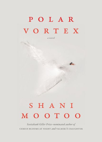 Produktbild: Polar Vortex