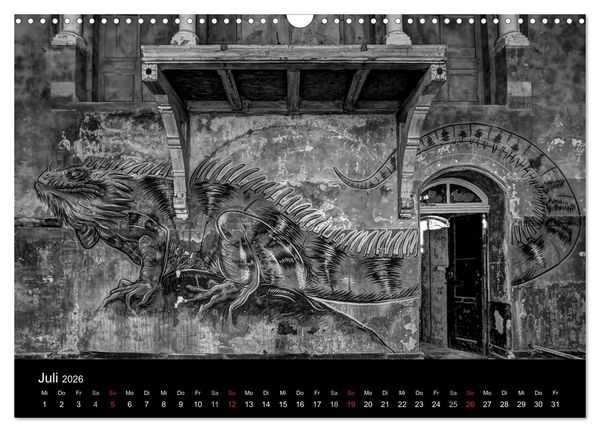 Produktbild: lost beauty (Wandkalender 2026 DIN A3 quer), CALVENDO Monatskalender