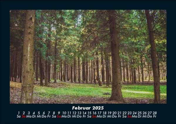Produktbild: B&auml;ume 2025 Fotokalender DIN A5