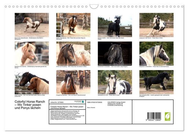 Produktbild: Colorful Horse Ranch &ndash; Wo Tinker posen und Ponys l&auml;cheln (Wandkalender 2026 DIN A3 quer), CALVENDO Monatskalender