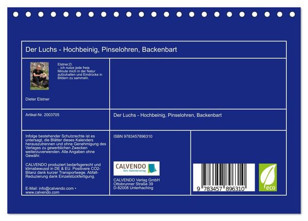 Produktbild: Der Luchs - Hochbeinig, Pinselohren, Backenbart (Tischkalender 2026 DIN A5 quer), CALVENDO Monatskalender