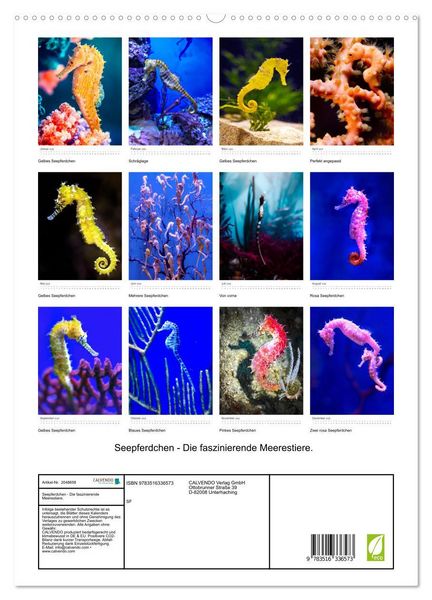 Produktbild: Seepferdchen - Die faszinierende Meerestiere. (hochwertiger Premium Wandkalender 2026 DIN A2 hoch), Kunstdruck in Hochglanz