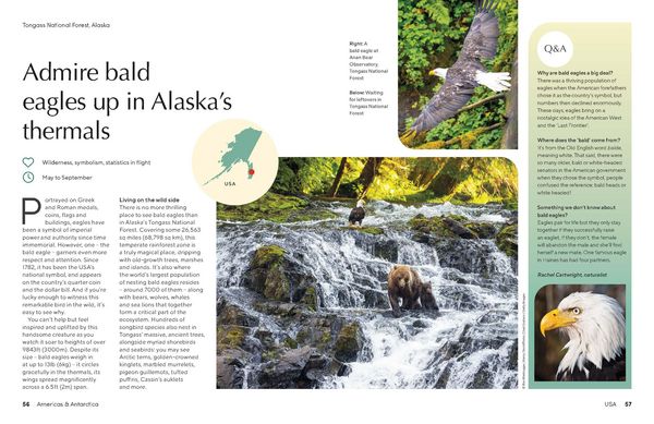 Produktbild: Lonely Planet The Joy of Birdwatching