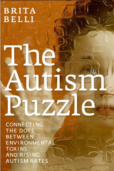 Produktbild: The Autism Puzzle