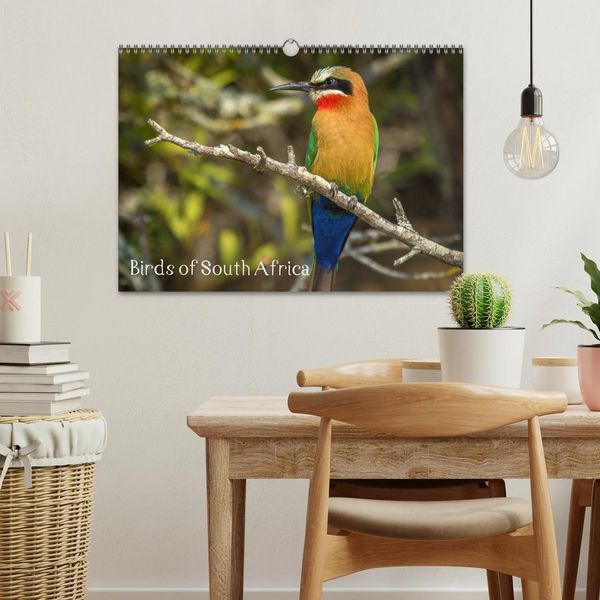 Produktbild: Birds of South Africa (Wall Calendar 2026 DIN A3 landscape), CALVENDO 12 Month Wall Calendar