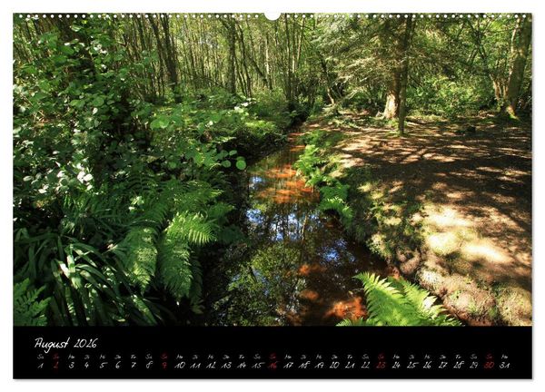 Produktbild: Broc&eacute;liande / Zauberwald der Bretagne (hochwertiger Premium Wandkalender 2026 DIN A2 quer), Kunstdruck in Hochglanz