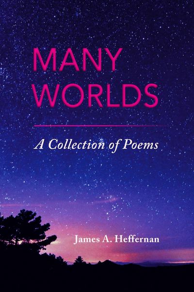 Produktbild: Many Worlds