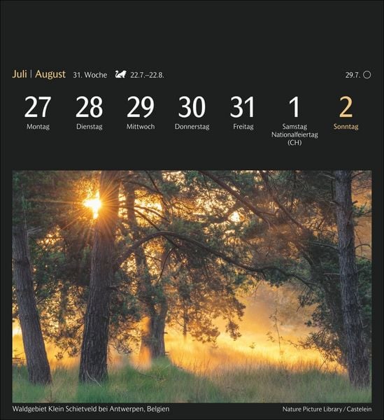 Produktbild: Magic Nature Postkartenkalender Kalender 2026 - Kalender mit 53 Postkarten