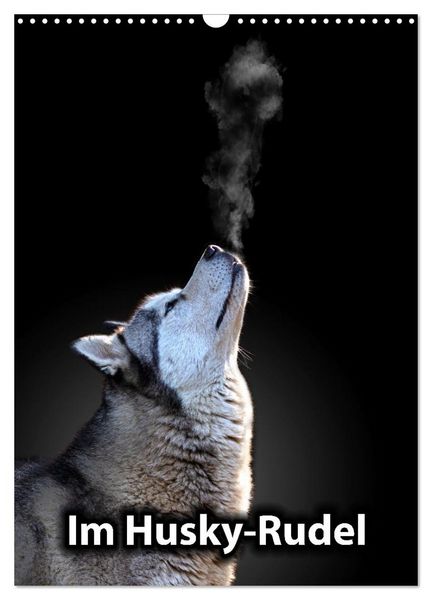 Produktbild: Im Husky-Rudel (Wandkalender 2026 DIN A3 hoch), CALVENDO Monatskalender