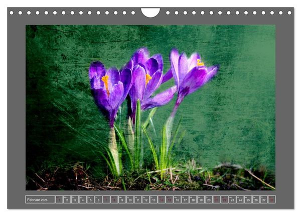 Produktbild: Blumen f&uuml;r dich (Wandkalender 2026 DIN A4 quer), CALVENDO Monatskalender