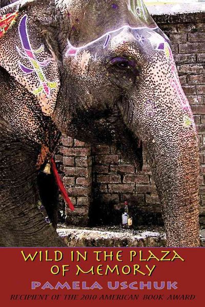 Produktbild: Wild in the Plaza of Memory
