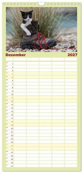 Produktbild: Familienplaner 2027 - Kitten auf Entdeckungsreise mit 5 Spalten (Wandkalender, 21 x 45 cm) CALVENDO