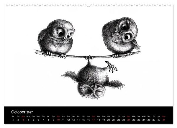 Produktbild: owls & friends 2027 (High Quality Premium Wall Calendar 2027 DIN A2 landscape),CALVENDO 12 Month Wall Calendar