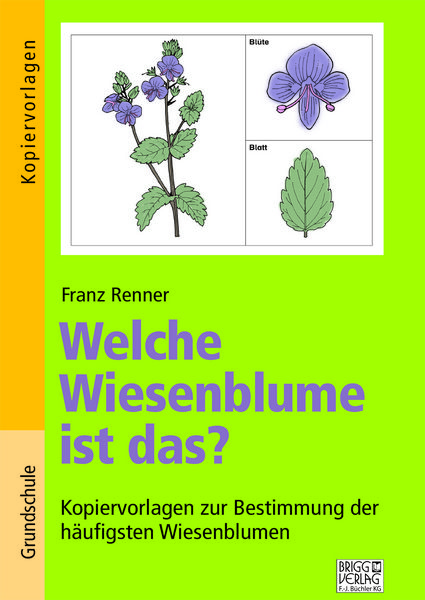 Produktbild: Welche Wiesenblume ist das?