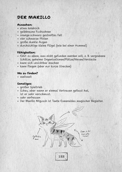 Produktbild: Geheim! Ein R&auml;tselabenteuer - Finde das magische Einhorn