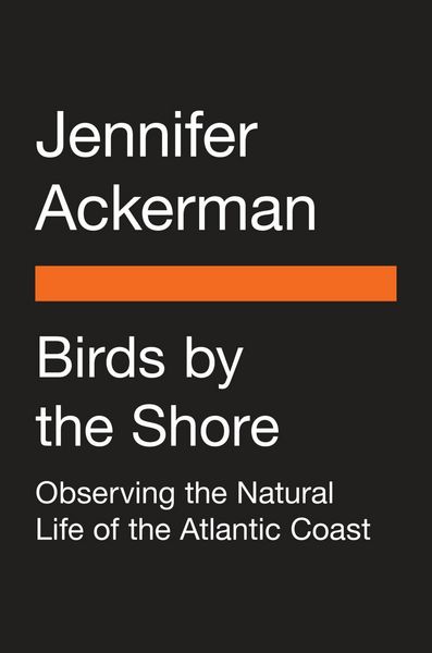 Produktbild: Birds by the Shore