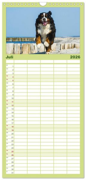 Produktbild: Familienplaner 2026 - Treuer Freund Berner Sennenhund mit 5 Spalten (Wandkalender, 21 x 45 cm) CALVENDO