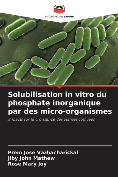Produktbild: Solubilisation in vitro du phosphate inorganique par des micro-organismes