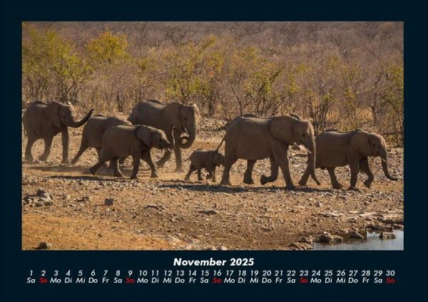 Produktbild: Der Elefantenkalender 2025 Fotokalender DIN A4