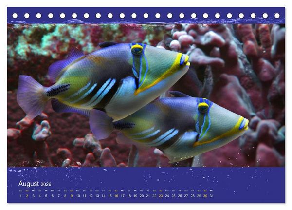 Produktbild: Korallenfische im Lichtschimmer des Meeres (Tischkalender 2026 DIN A5 quer), CALVENDO Monatskalender