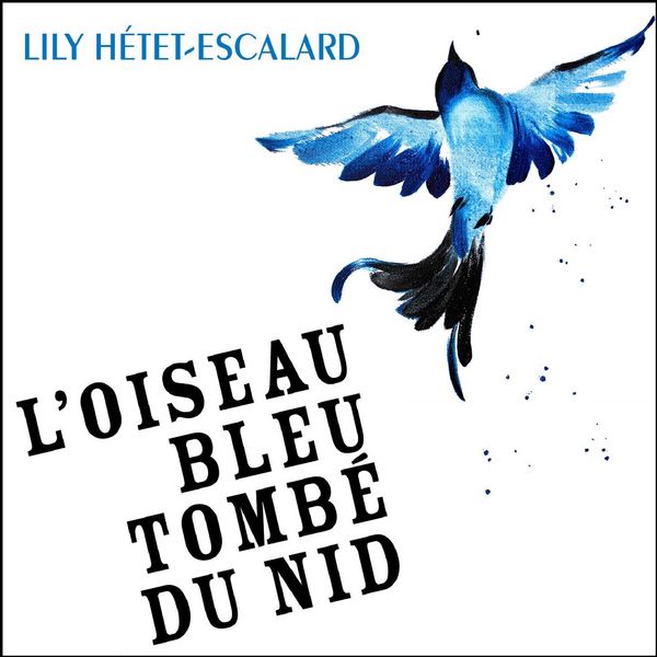L'Oiseau bleu tombé du nid - Lily Hétet-Escalard, Audio, 9791040592068