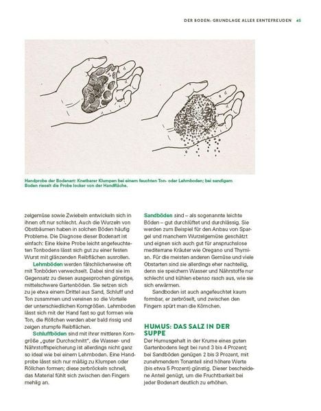 Produktbild: Das gro&szlig;e Gem&uuml;se- und Obstgartenbuch