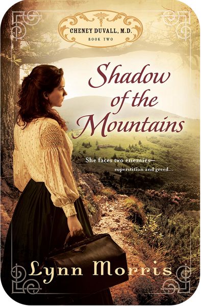 Produktbild: Shadow of the Mountains