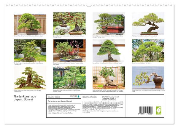 Produktbild: Gartenkunst aus Japan: Bonsai (hochwertiger Premium Wandkalender 2026 DIN A2 quer), Kunstdruck in Hochglanz